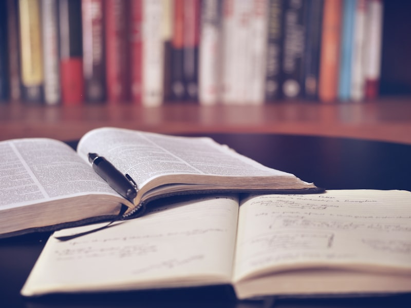 Cours de français débutant